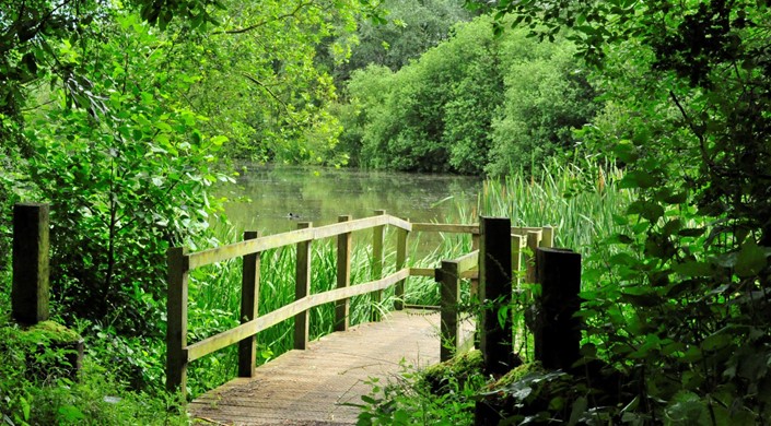 Skylarks Nature Reserve