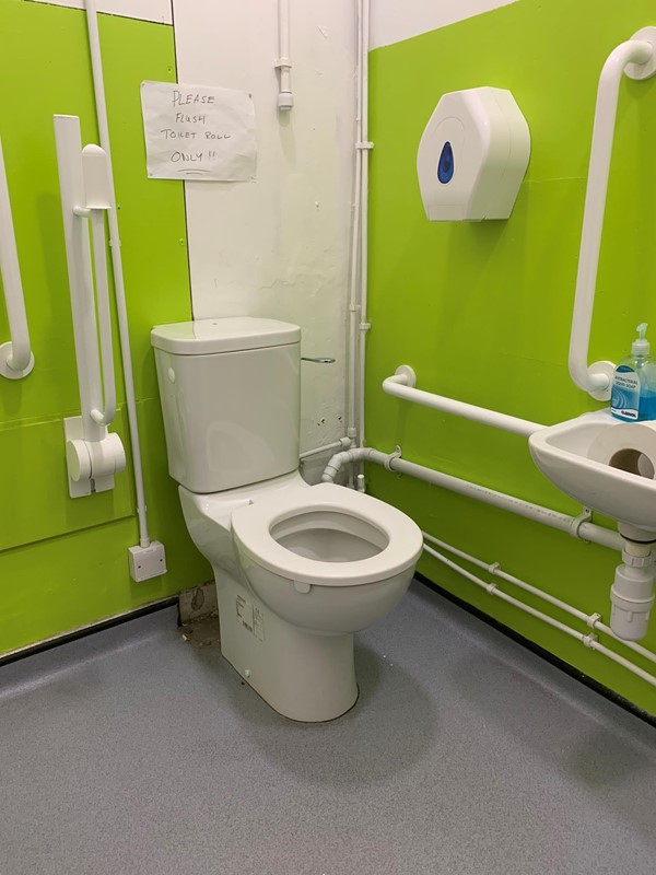 Accessible toilet showing handrails and toilet roll dispenser