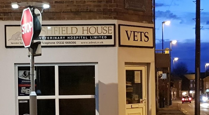 Ashfield House Vets