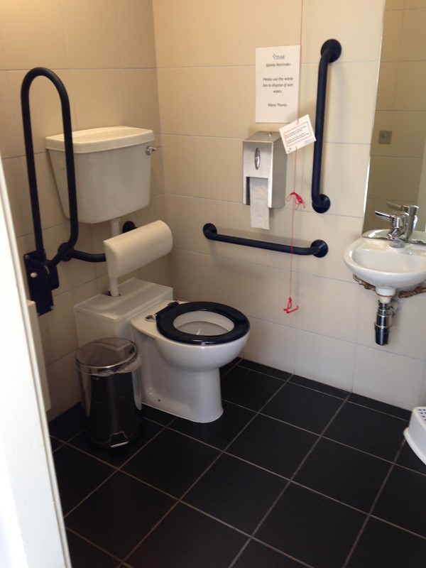 The accessible toilet.