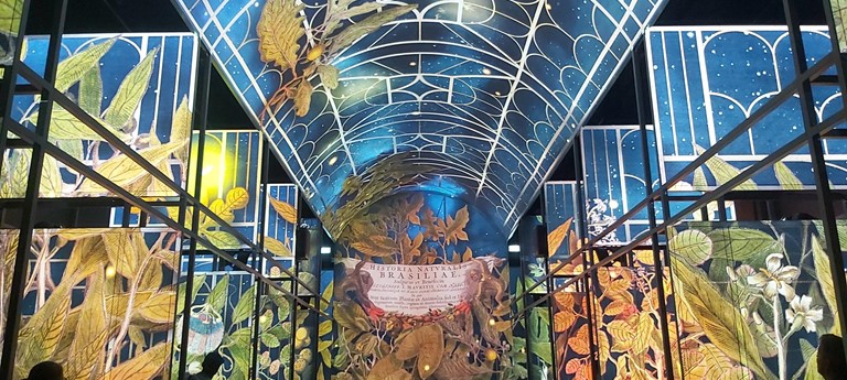 The Book of Kells Experience