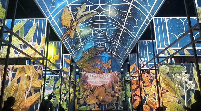 The Book of Kells Experience
