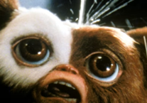 Access Film Club: Gremlins 2: The New Batch (12) 