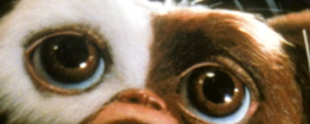 Access Film Club: Gremlins 2: The New Batch (12)  article image
