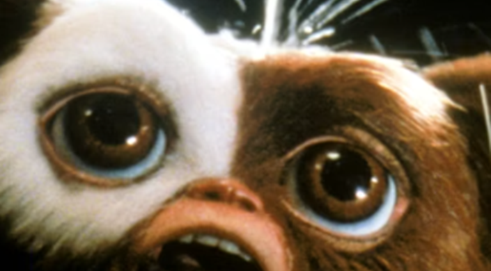 Access Film Club: Gremlins 2: The New Batch (12) 