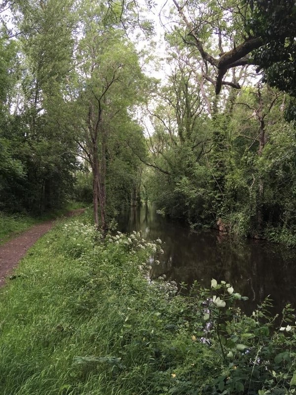 Picture of the Wey & Arun Canal