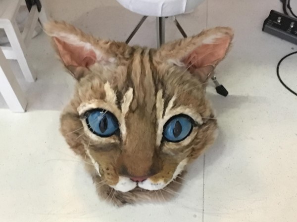 Cats head.