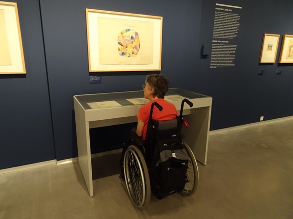 A wheelchair-friendly display case
