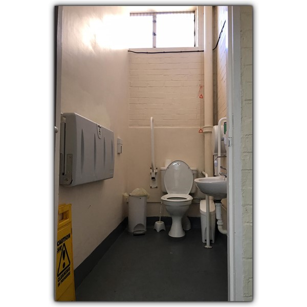 Toilet access