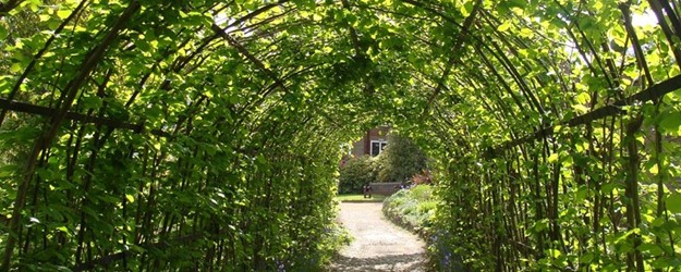 Disabled Access Day article image