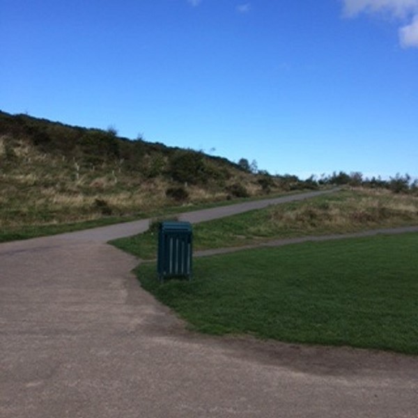 Picture of Weetslade Country Park, Wideopen
