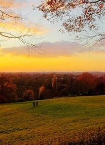 Marks Hall Gardens and Arboretum