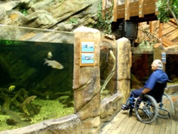Picture of the Blue Planet Aquarium - Display