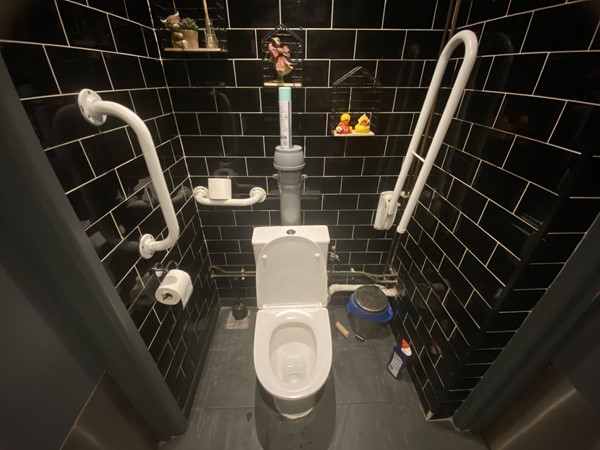 disabled toilet