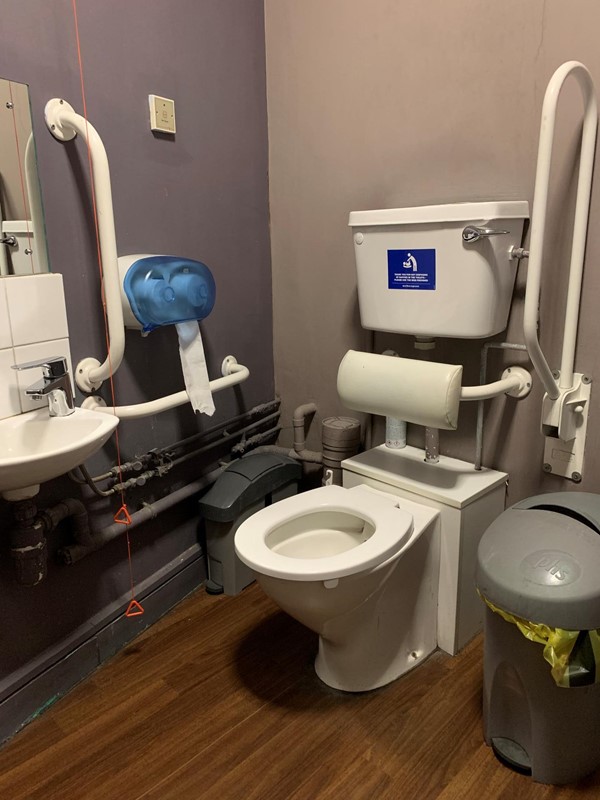 Accessible toilet view - toilet, sink, red cord hanging low