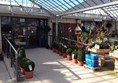 Picture of Garden Wise - Entrance