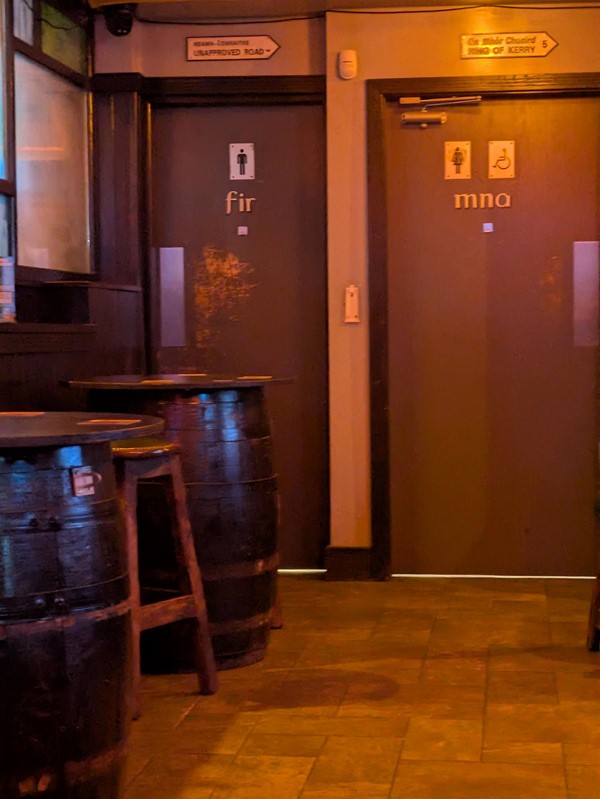 Image of women's / accessible toilet