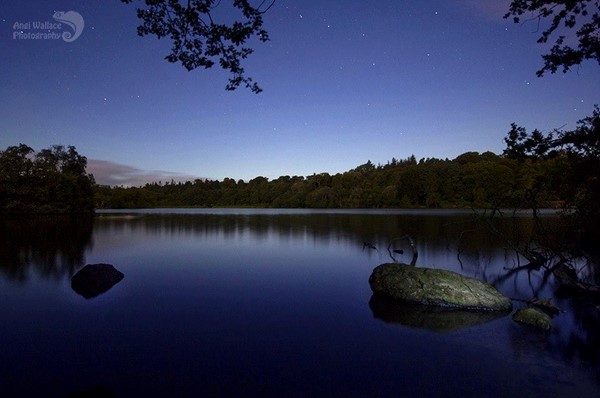 Bolam lake at night