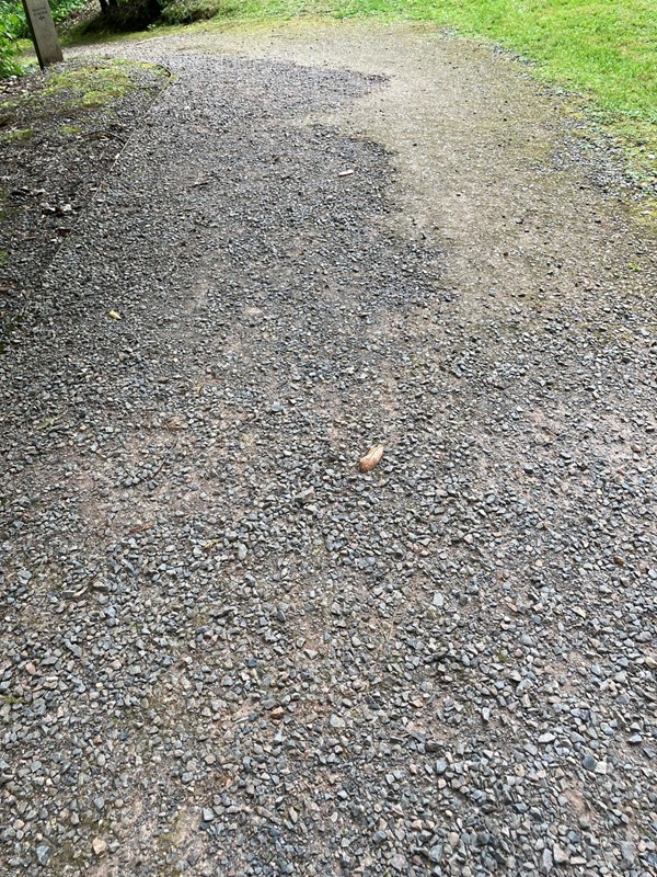 Main paths at the back of the house in the garden
