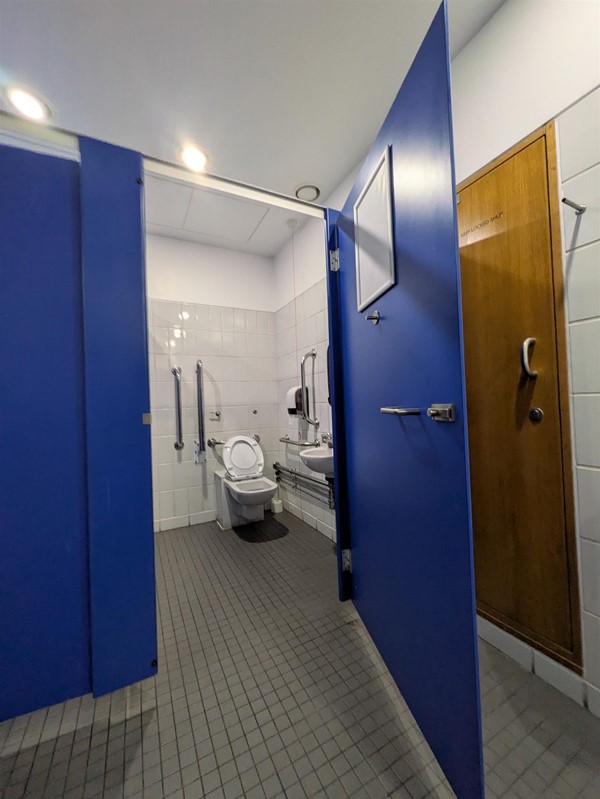 Image of accessible toilet in a cubicle