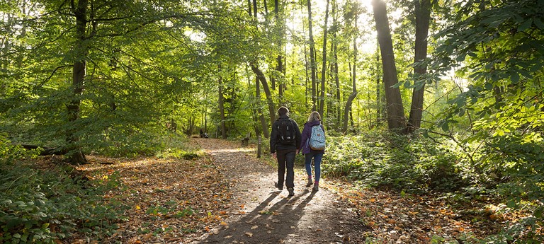 Shorne Woods Country Park