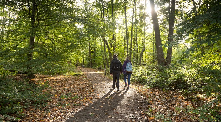 Shorne Woods Country Park