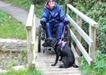 Me in my trike with dog on a small wooden footbridge.