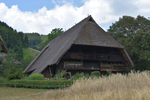 Picture of Black Forest Open Air Museum