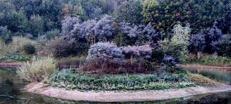 Silverhill Woods