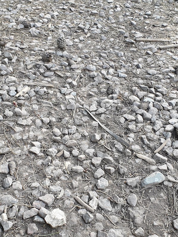Image of gravel on a path.