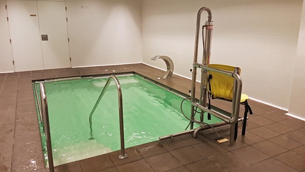 Accessible hydrotherapy pool hoist