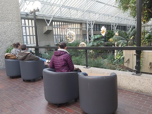 Image of the Barbican Conservatory