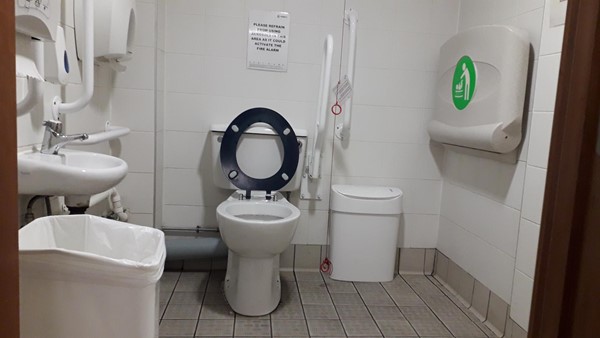 Picture of Accessible Toilet