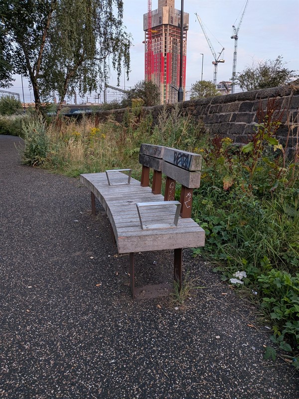 image of bench in the park