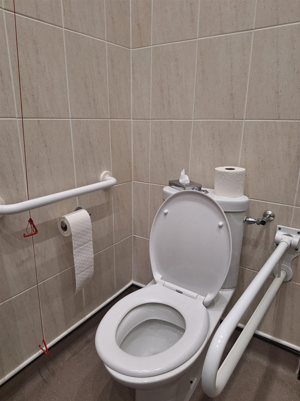Accessible toilet