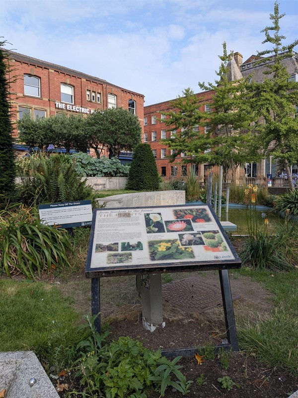 image of plants and information board