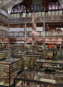 Pitt Rivers Museum