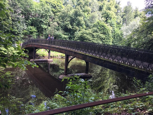 Bridge at lake.