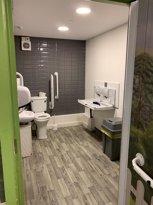 Picture of an accessible toilet