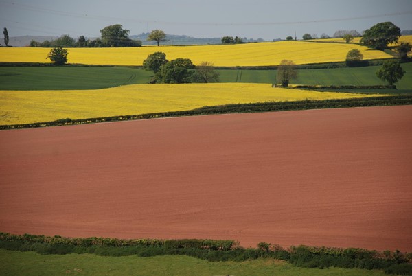 part of the view from Valley View 2017
