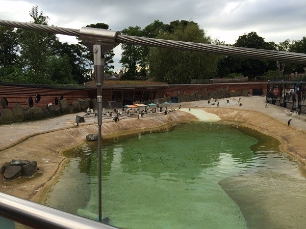 Picture of Edinburgh Zoo