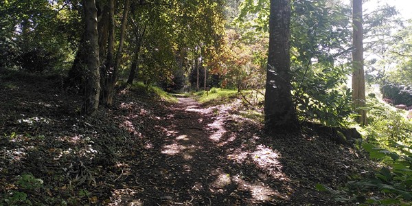 Enys Gardens