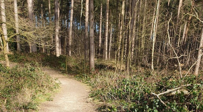 Sherwood Pines