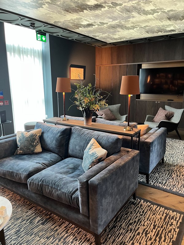 Image of two sofas back to back