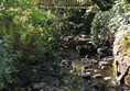 Picture of Hermitage Park