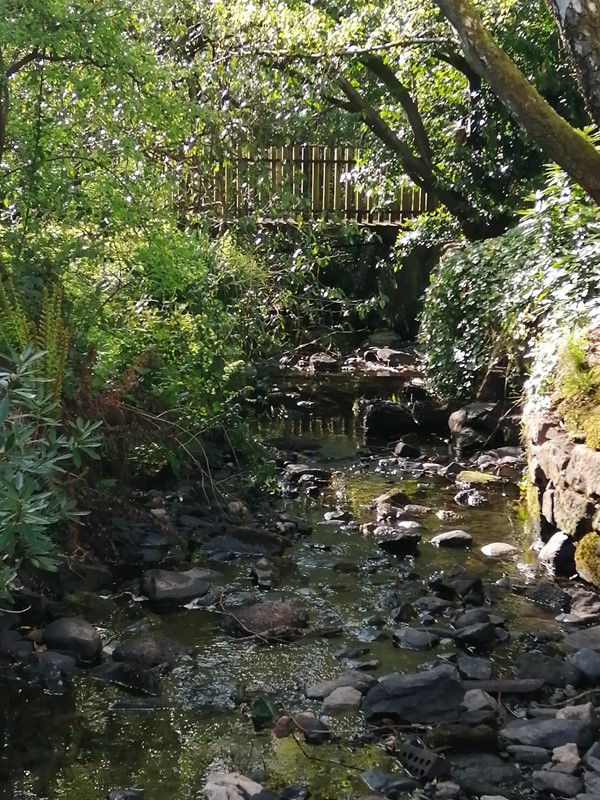 Picture of Hermitage Park