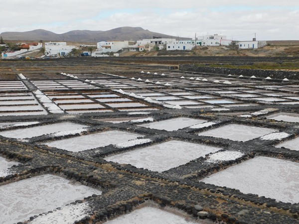 Salt Pans at Salt Museum which are still in use