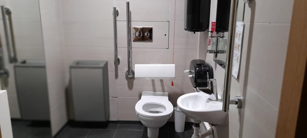 Picture of an accessible toilet