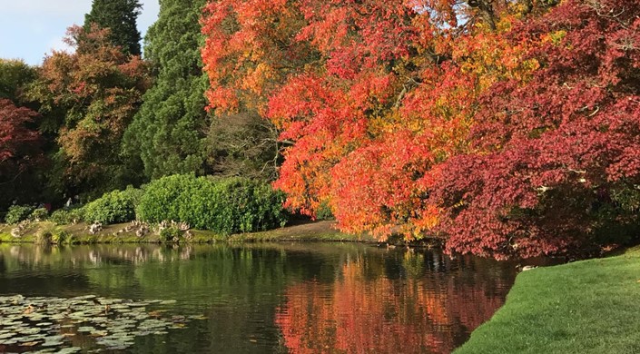 Sheffield Park and Garden