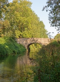 Grand Western Canal Country Park